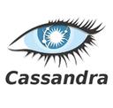 Formation Cassandra